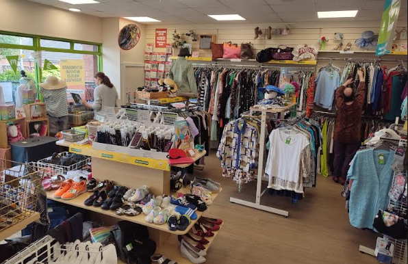Charity shop assistant in Beeston (Barnardo's)